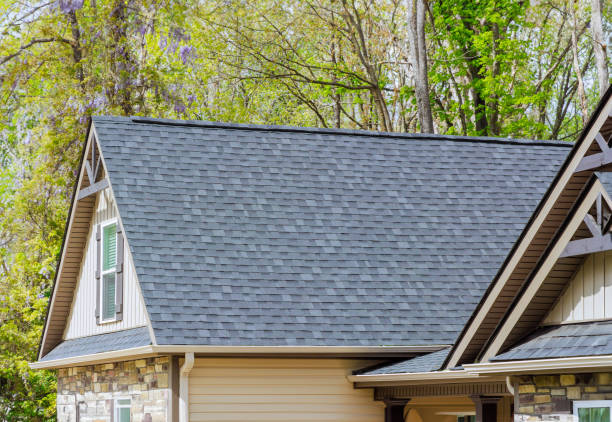 Best Sheet Metal Roofing  in Montrose, PA